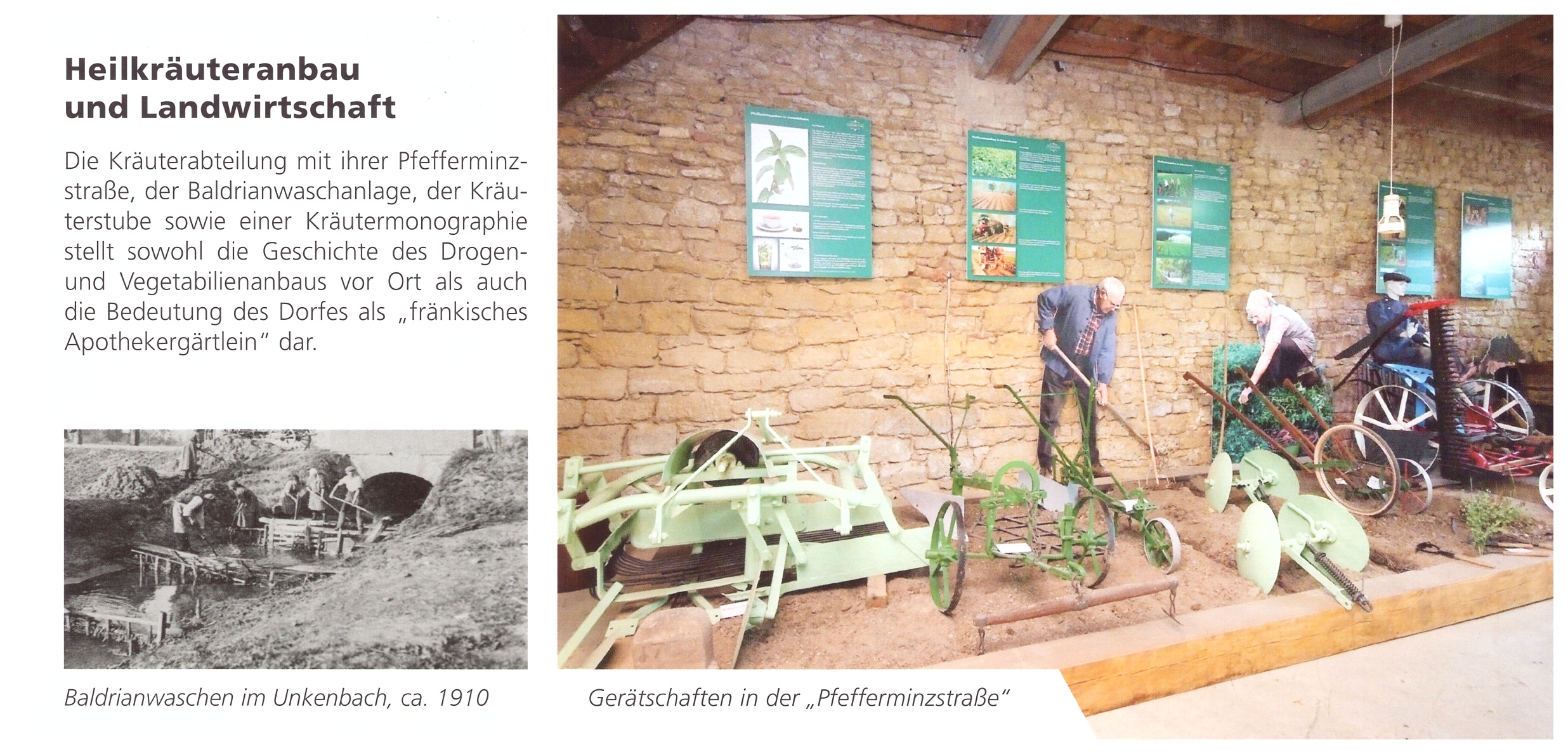 Heilkr�uteranbau und Landwirtschaft